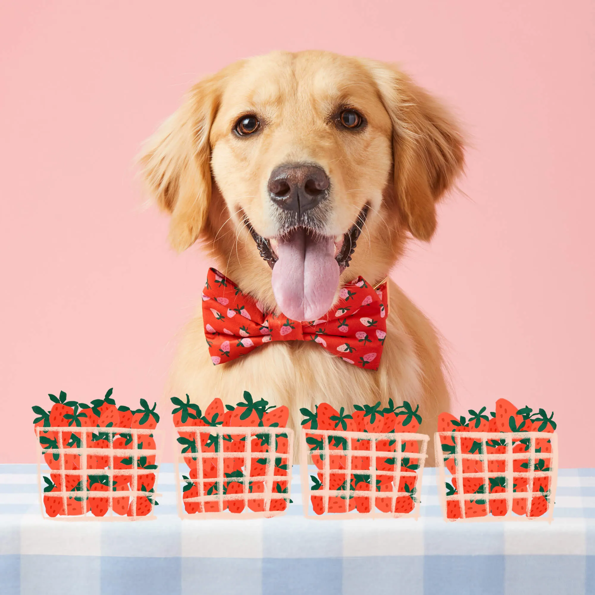 Berry Sweet Bow Tie Collar