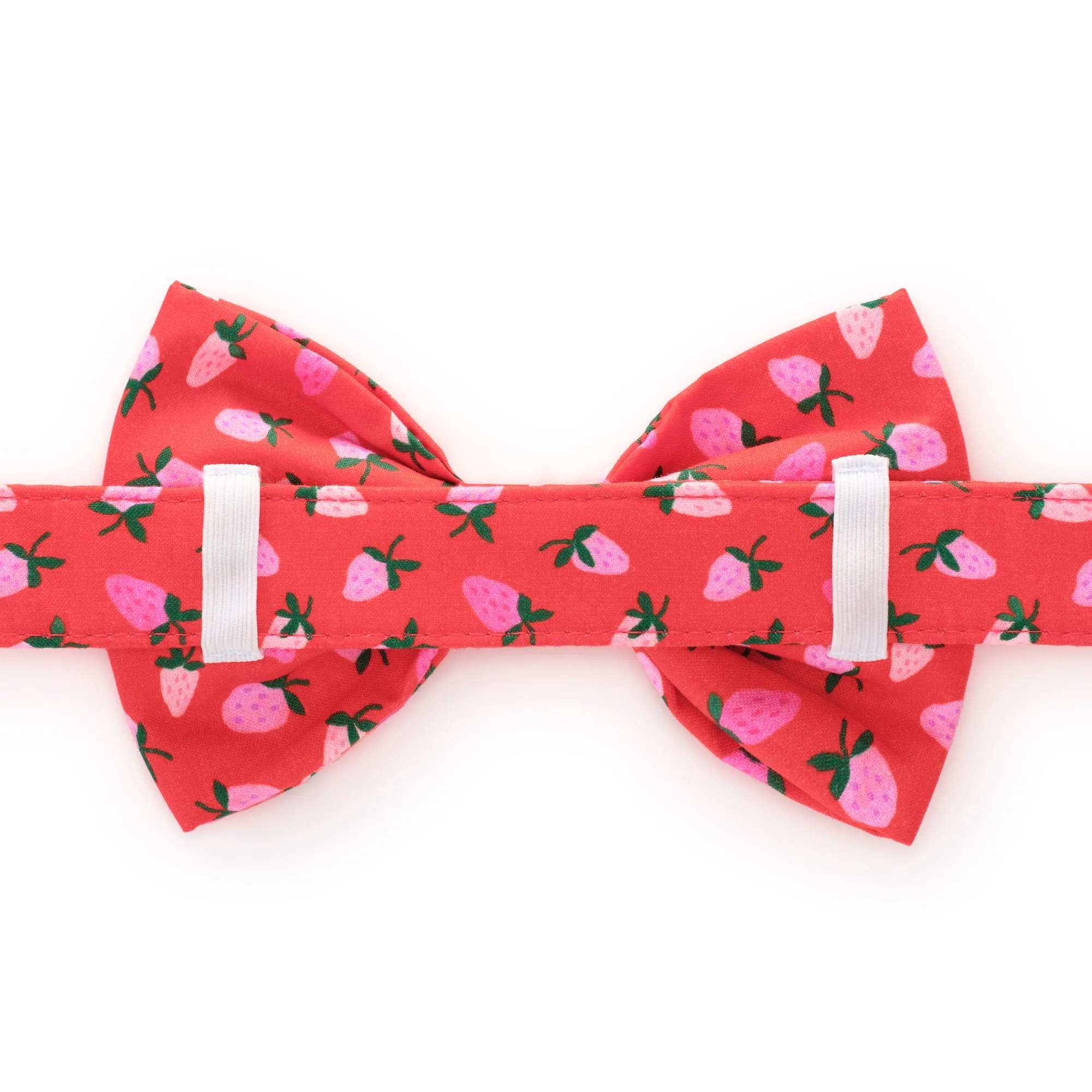Berry Sweet Bow Tie Collar