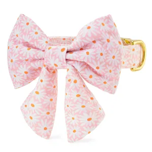 Fresh as a Daisy Lady Bow Collar