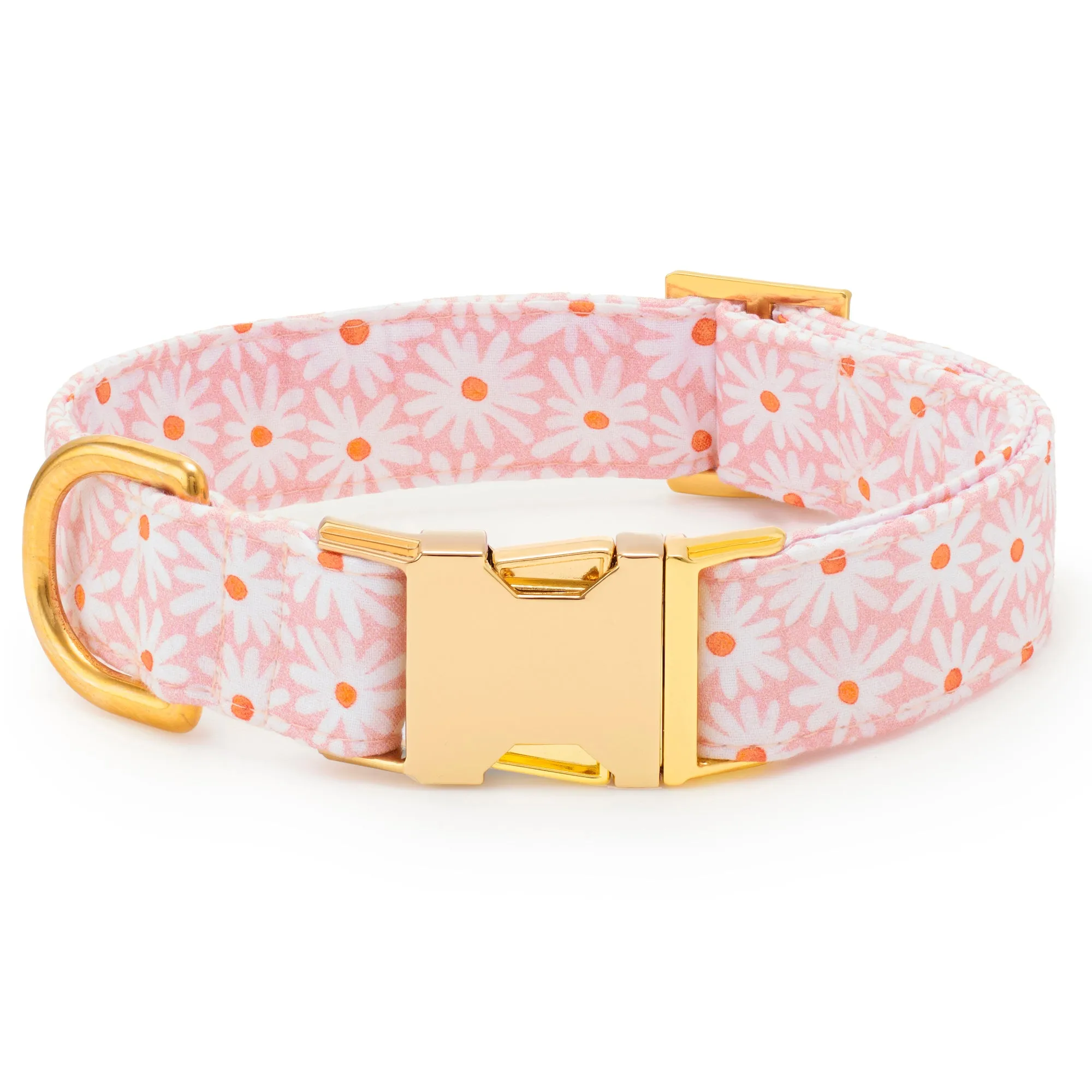 Fresh as a Daisy Lady Bow Collar
