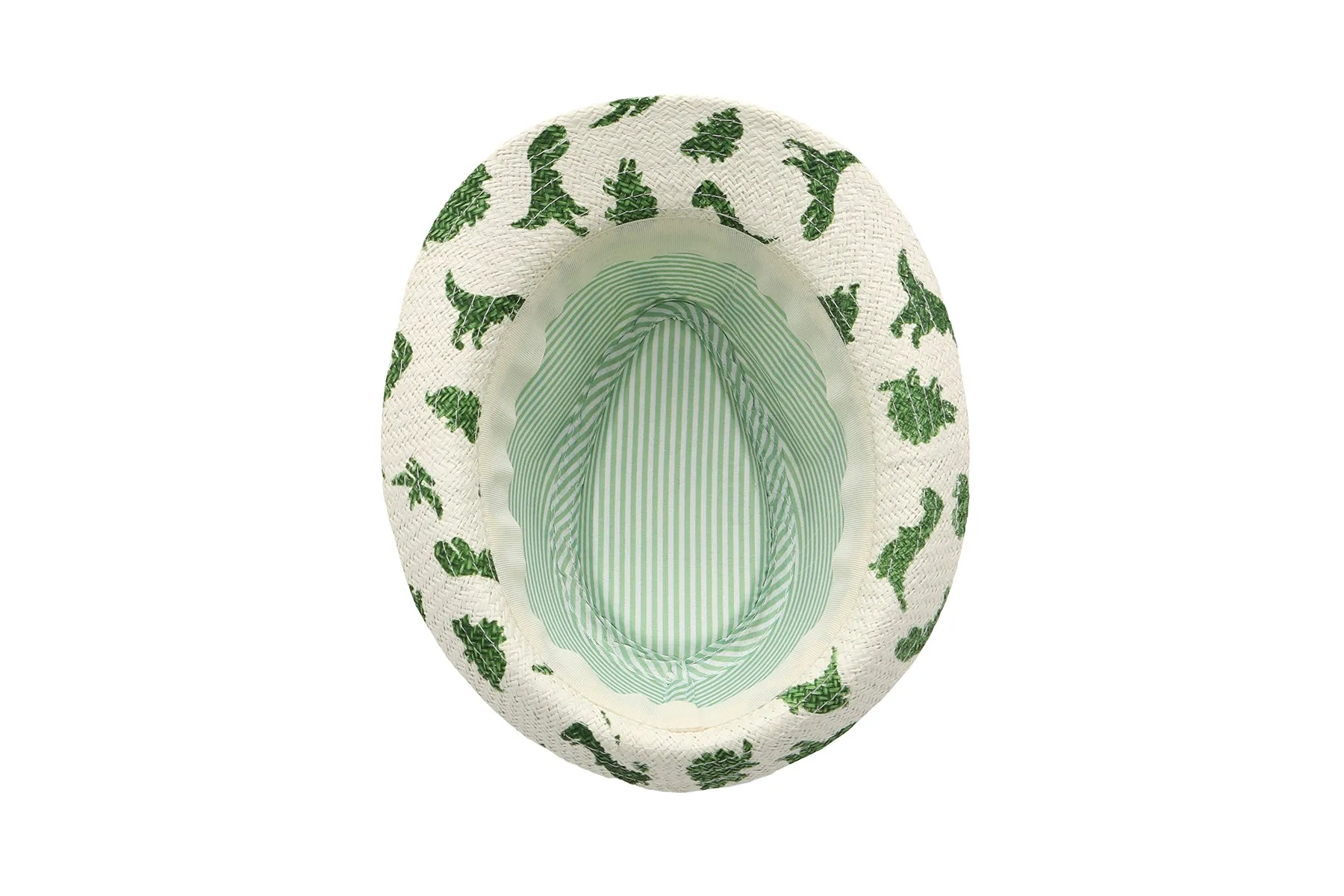 Kids Fedora - Dinosaur