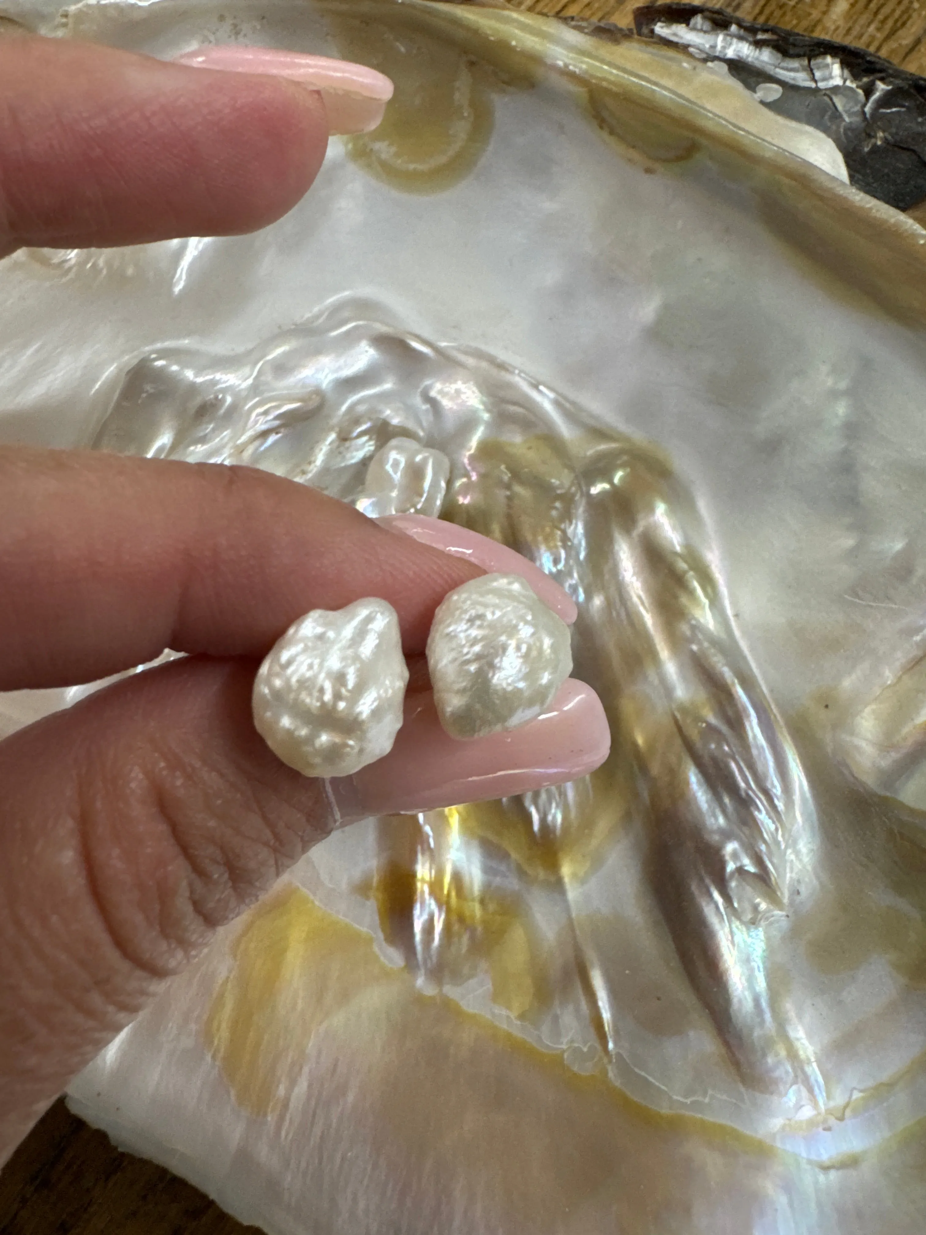 Rosebud Post Earrings 12mm